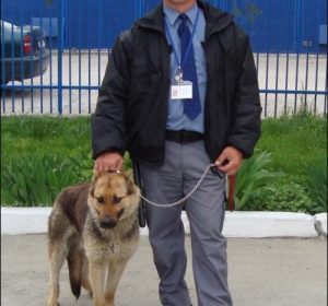 Ave Security Group - Servicii de paza si protectie Bucuresti