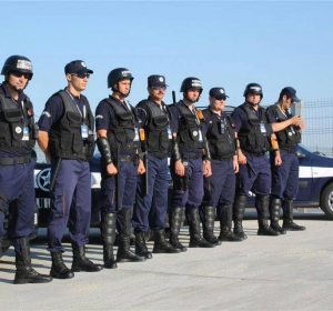 PHEONIX SECURITY - PAZA SI PROTECTIE BUCURESTI